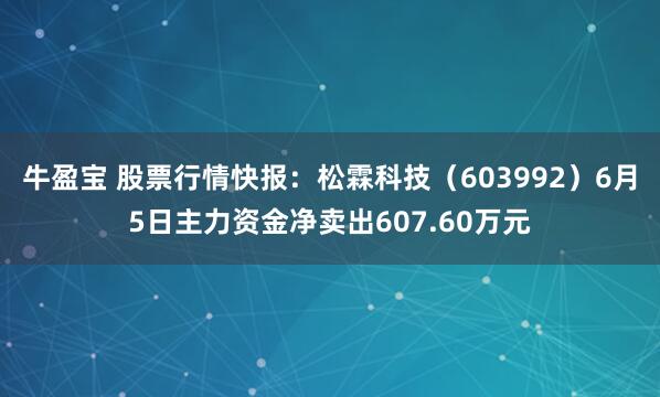牛盈宝 股票行情快报：松霖科技（603992）6月5日主力资金净卖出607.60万元