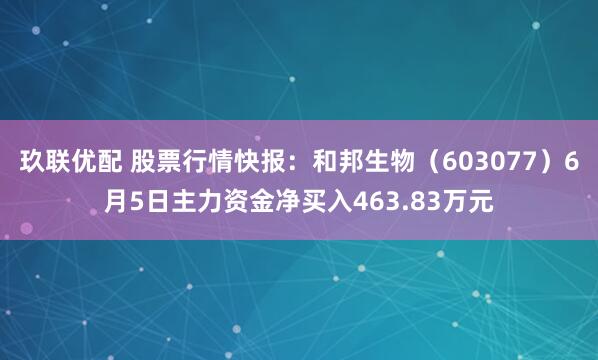玖联优配 股票行情快报：和邦生物（603077）6月5日主力资金净买入463.83万元