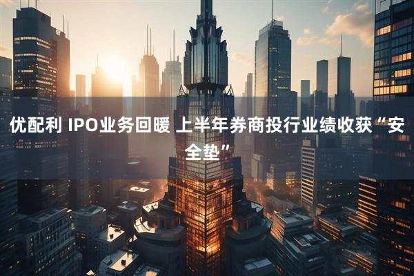 优配利 IPO业务回暖 上半年券商投行业绩收获“安全垫”