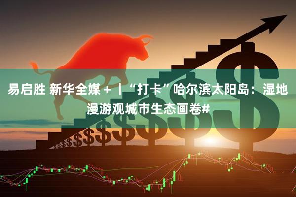易启胜 新华全媒＋丨“打卡”哈尔滨太阳岛：湿地漫游观城市生态画卷#