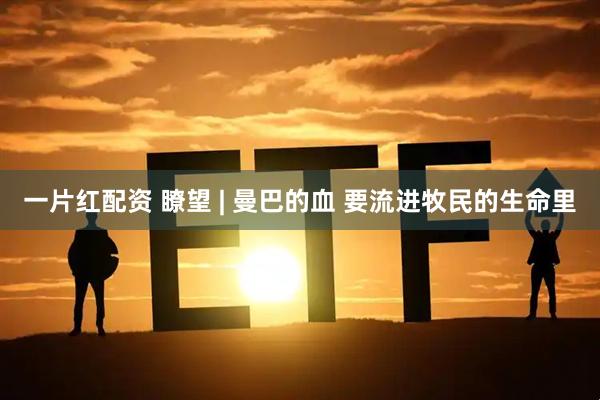 一片红配资 瞭望 | 曼巴的血 要流进牧民的生命里