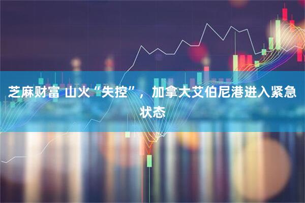 芝麻财富 山火“失控”，加拿大艾伯尼港进入紧急状态