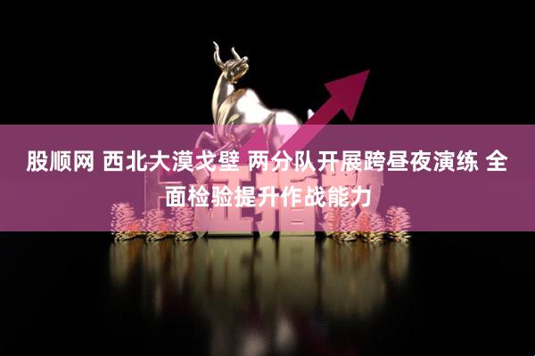 股顺网 西北大漠戈壁 两分队开展跨昼夜演练 全面检验提升作战能力